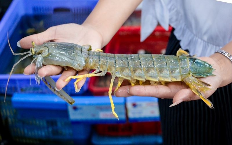Ăn gì ở Quan Lạn ngon?
